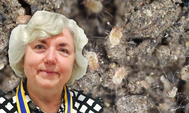 Associate Professor Sheryl van Nunen