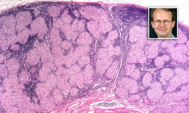 Professor Paul Thomas