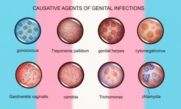 Dr Denton Callander and Mr Teddy Cook