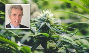 Associate Professor Adrian Reynolds