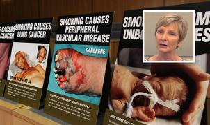 Professor Melanie Wakefield