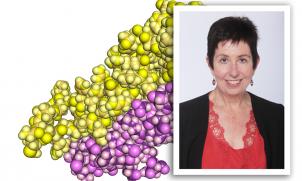 2018-09-01T00_31_52-07_00