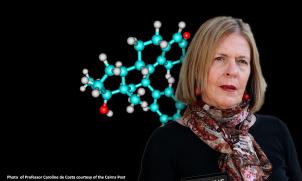 Professor Caroline de Costa AM