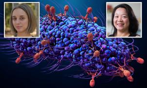 Dr Aleksandr Petrovic Fabijan and Associate Professor Ruby Lin