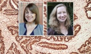 Susan Morris and Professor Karen Canfell