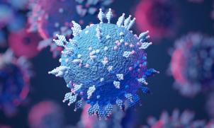 Professor Sarah Larkins and Dr Nicole Allard