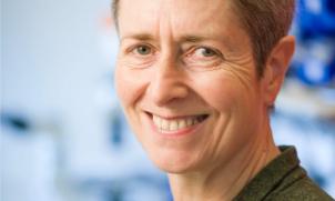 Professor Anne Kelso AO